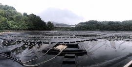 必发365(集团)兴趣网投天天必发